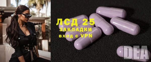 прущие крисы Бородино