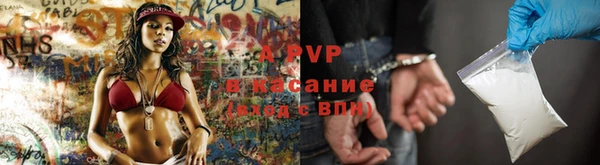 ГАЛЛЮЦИНОГЕННЫЕ ГРИБЫ Верхний Тагил