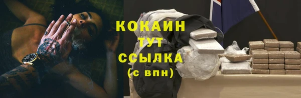 сатива Гусиноозёрск