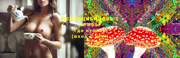 прущие крисы Володарск