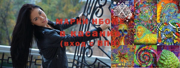 прущие крисы Бородино
