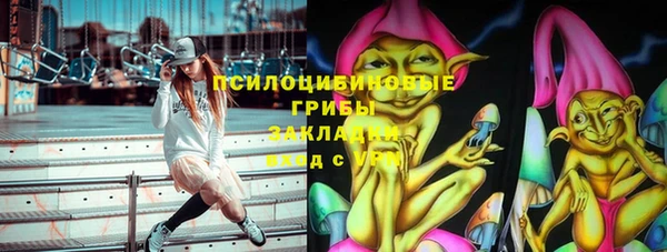 прущие крисы Бородино
