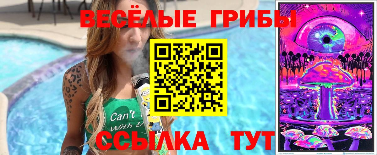 Наро-Фоминск  Галлюциногенные грибы ЛСД  продажа наркотиков  Вход с VPN  Псилоцибиновые грибы Magic Shrooms 